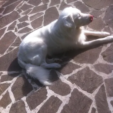 Adagioumbro Spoleto